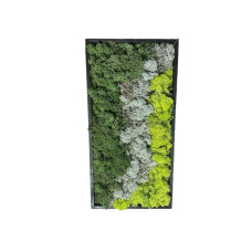  Mos wandpaneel mos schilderij rechthoek van rendiermos kleur zwart groen grijs